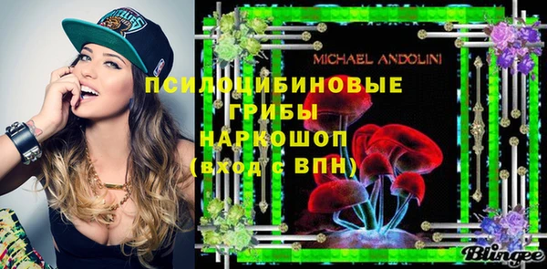 метадон Арсеньев