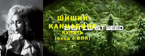 прущие крисы Аркадак